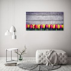 Wallmuralia Foto obraz skleněný horizontální Tulipány na stromě 125x50 cm 4 úchytky