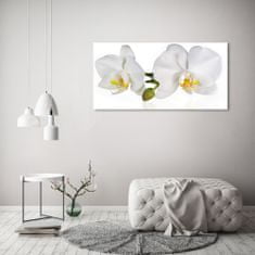 Wallmuralia Foto obraz skleněný horizontální Orchidej 125x50 cm 4 úchytky