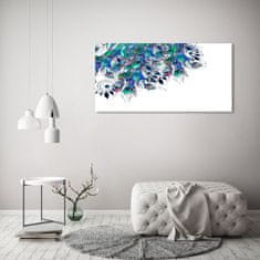 Wallmuralia Foto obraz fotografie na skle Paví pírka 125x50 cm 4 úchytky