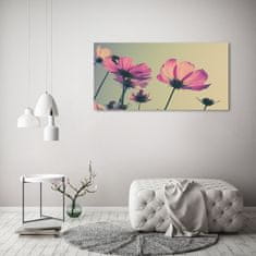 Wallmuralia Foto obraz sklo tvrzené Růžové květiny 125x50 cm 2 úchytky