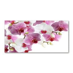 Wallmuralia Foto obraz sklo tvrzené Orchidej 140x70 cm 2 úchytky