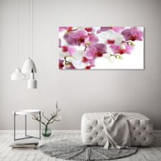 Wallmuralia Foto obraz sklo tvrzené Orchidej 125x50 cm 4 úchytky