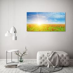 Wallmuralia Foto obraz skleněný horizontální Pole máků 125x50 cm 2 úchytky