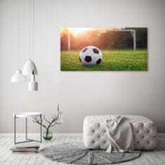 Wallmuralia Foto-obraz fotografie na skle Fotbal 125x50 cm 4 úchytky