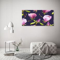 Wallmuralia Moderní skleněný obraz z fotografie Magnólie 125x50 cm 4 úchytky