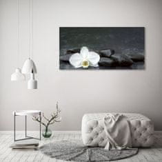 Wallmuralia Foto obraz fotografie na skle Orchidej 125x50 cm 2 úchytky