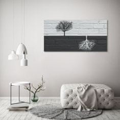 Wallmuralia Foto-obrah sklo tvrzené Stromy na zdi 125x50 cm 4 úchytky