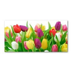 Wallmuralia Foto-obraz fotografie na skle Barevné tulipány 125x50 cm 4 úchytky