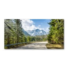 Wallmuralia Foto obraz fotografie na skle Cesta Tatry 140x70 cm 2 úchytky