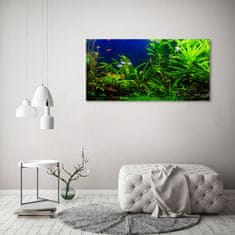 Wallmuralia Foto obraz skleněný horizontální Ryby v akvárium 125x50 cm 2 úchytky