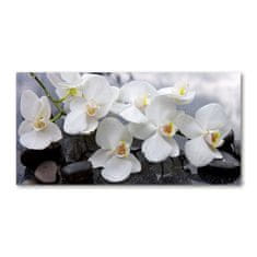Wallmuralia Foto obraz skleněný horizontální Orchidej 125x50 cm 2 úchytky