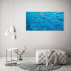 Wallmuralia Foto obraz skleněný horizontální Korálové ryby 125x50 cm 2 úchytky