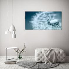 Wallmuralia Foto obraz fotografie na skle Pampeliška 125x50 cm 4 úchytky