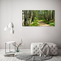 Wallmuralia Foto obraz skleněný horizontální Stezka v lese 125x50 cm 2 úchytky