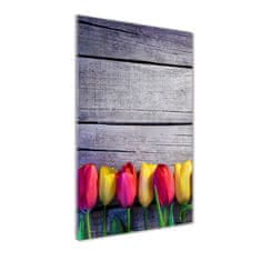 Wallmuralia Vertikální Fotoobraz na skle Barevné tulipány 50x100 cm 4 úchytky