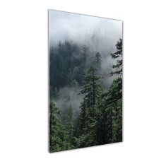 Wallmuralia Vertikální Foto obraz fotografie na skle Mlha nad lesem 60x120 cm 4 úchytky