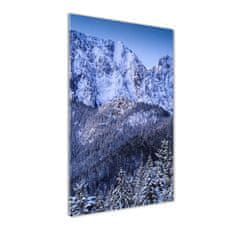 Wallmuralia Vertikální Foto obraz sklo tvrzené Gievont Tatry 50x125 cm 4 úchytky