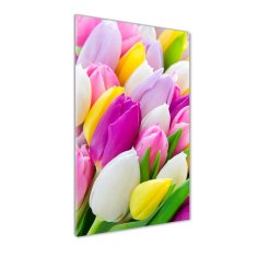 Wallmuralia Vertikální Fotoobraz na skle Barevné tulipány 50x125 cm 2 úchytky