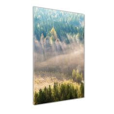 Wallmuralia Vertikální Foto obraz fotografie na skle Mlha nad lesem 70x140 cm 4 úchytky