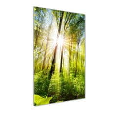 Wallmuralia Vertikální Foto obraz fotografie na skle Slunce v lese 50x125 cm 4 úchytky