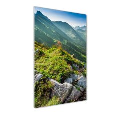 Wallmuralia Vertikální Foto obraz sklo tvrzené Hory létem 50x125 cm 2 úchytky