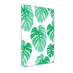 Wallmuralia Vertikální Foto-obrah sklo tvrzené Monstera 50x125 cm 2 úchytky