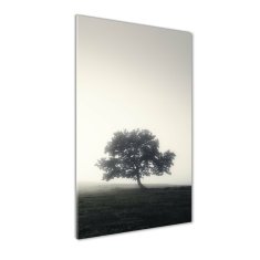 Wallmuralia Vertikální Foto obraz fotografie na skle Dřevo v mlze 70x140 cm 4 úchytky