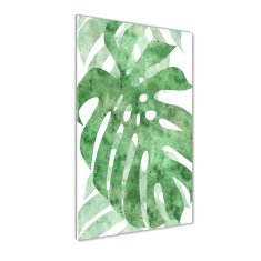 Wallmuralia Vertikální Foto-obrah sklo tvrzené Monstera 50x100 cm 4 úchytky