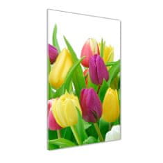 Wallmuralia Vertikální Fotoobraz na skle Barevné tulipány 50x100 cm 4 úchytky