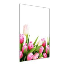 Wallmuralia Vertikální Fotoobraz na skle Růžové tulipány 70x100 cm 4 úchytky