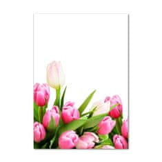 Wallmuralia Vertikální Fotoobraz na skle Růžové tulipány 70x100 cm 4 úchytky