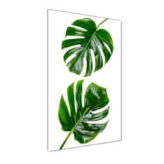 Wallmuralia Vertikální Foto-obrah sklo tvrzené Monstera 50x125 cm 4 úchytky