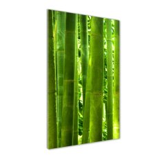 Wallmuralia Vertikální Moderní skleněný obraz z fotografie Bambus 60x120 cm 2 úchytky