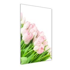 Wallmuralia Vertikální Fotoobraz na skle Růžové tulipány 50x100 cm 2 úchytky