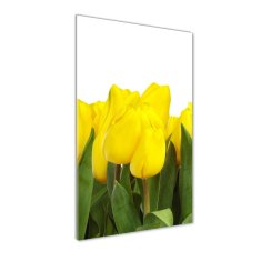 Wallmuralia Vertikální Foto obraz fotografie na skle Žluté tulipány 70x100 cm 2 úchytky