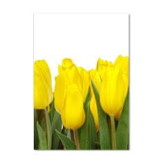 Wallmuralia Vertikální Foto obraz fotografie na skle Žluté tulipány 70x100 cm 2 úchytky