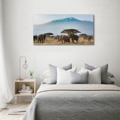 Wallmuralia Foto obraz skleněný horizontální Sloni Kilimandžaro 120x60 cm 4 úchytky