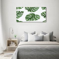 Wallmuralia Foto obraz skleněný horizontální Monstera 120x60 cm 4 úchytky