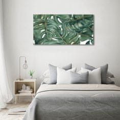 Wallmuralia Fotoobraz na skle Monstera 120x60 cm 2 úchytky