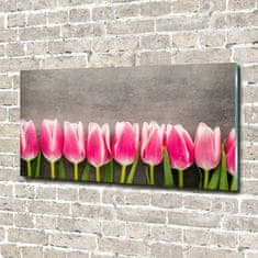 Wallmuralia Foto obraz sklo tvrzené Růžové tulipány 140x70 cm 2 úchytky