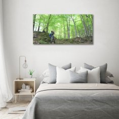 Wallmuralia Fotoobraz na skle Ornitolog v lese 100x50 cm 4 úchytky