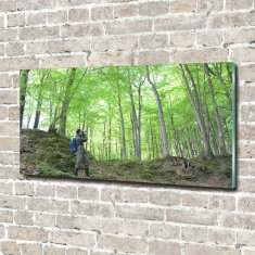 Wallmuralia Fotoobraz na skle Ornitolog v lese 100x50 cm 4 úchytky