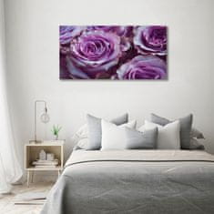 Wallmuralia Foto obraz sklo tvrzené Fialové růže 100x50 cm 4 úchytky