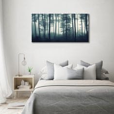 Wallmuralia Foto obraz fotografie na skle Les v mlze 120x60 cm 2 úchytky