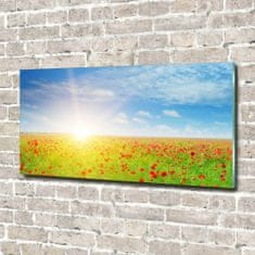 Wallmuralia Foto obraz skleněný horizontální Pole máků 100x50 cm 4 úchytky