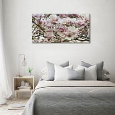 Wallmuralia Foto obraz sklo tvrzené Květiny magnolie 120x60 cm 2 úchytky