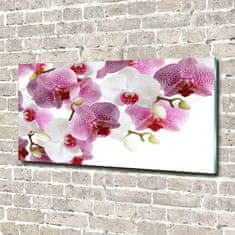 Wallmuralia Foto obraz sklo tvrzené Orchidej 140x70 cm 2 úchytky