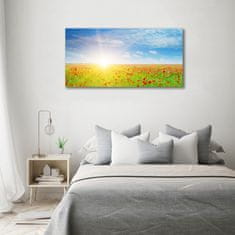 Wallmuralia Foto obraz skleněný horizontální Pole máků 100x50 cm 4 úchytky