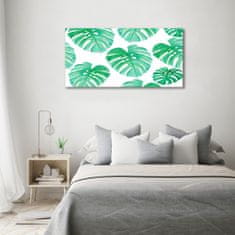 Wallmuralia Foto obraz skleněný horizontální Monstera 120x60 cm 2 úchytky