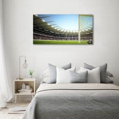 Wallmuralia Foto-obrah sklo tvrzené Stadion Francie 100x50 cm 4 úchytky